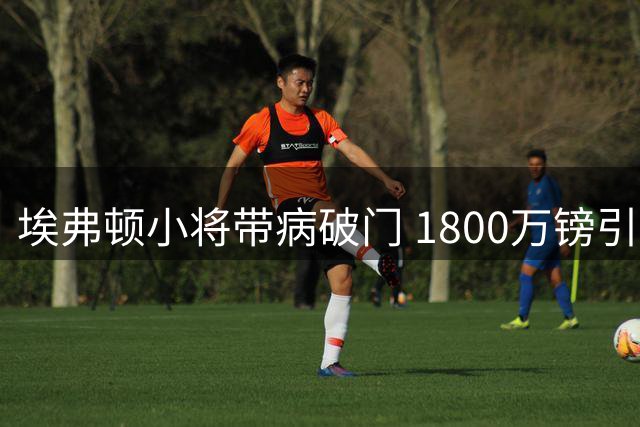 埃弗顿小将带病破门 1800万镑引援初显价值