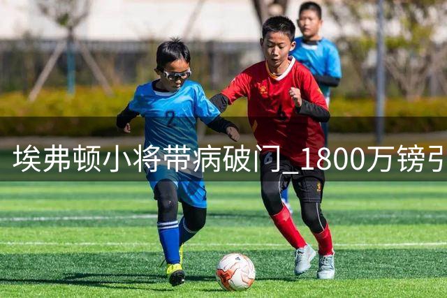 埃弗顿小将带病破门 1800万镑引援初显价值